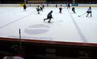 dgt_hockey (42)